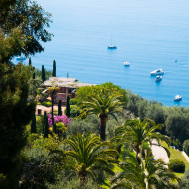 The French Riviera's Ultimate Area Guide